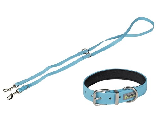 Hundehalsband und hundeleine - und, s