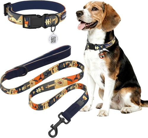 Hundeleine und halsband - hundeleine, set