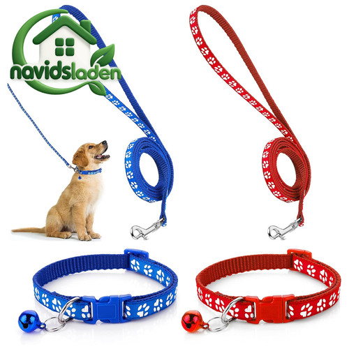 Hundehalsband und leine set - und,