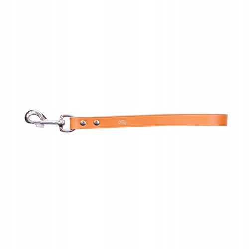 Dingo lederleine classic 2cm - lederleine,