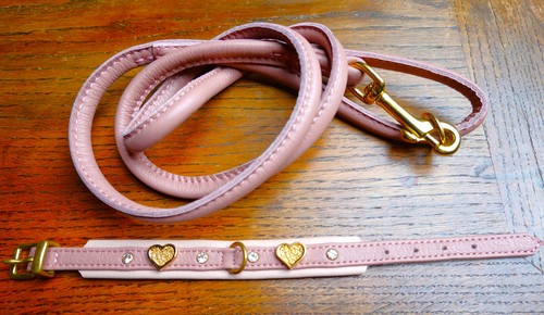 Hundehalsband mit leine maul - leine,