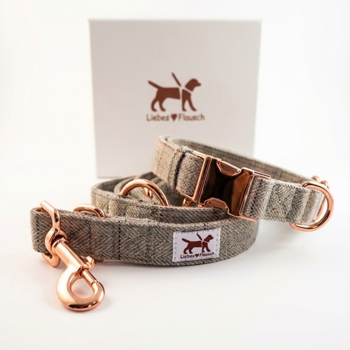 Hundehalsband mit hundeleine - hundehalsband,