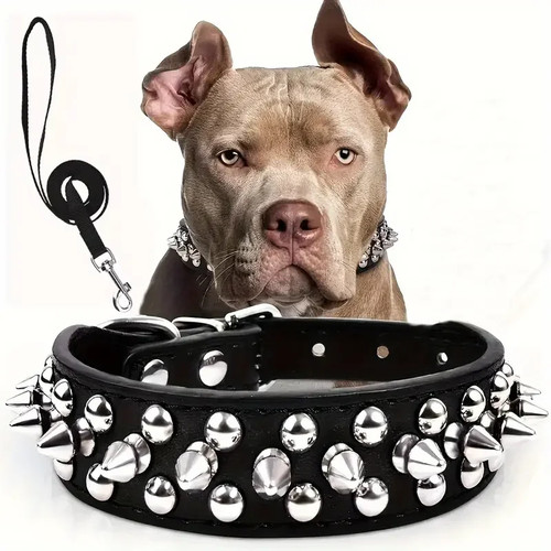 Set aus hundehalsband - aus, und