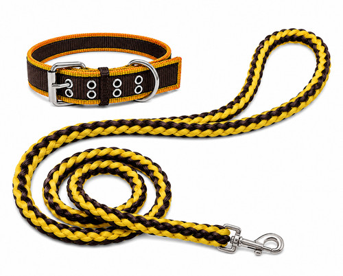 Premium leine halsband set - &,