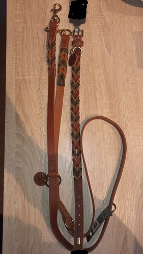 Hundeleine halsband hunter - hundeleine, m.