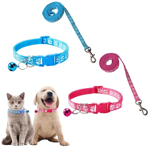 Hundehalsband und leine set - und,