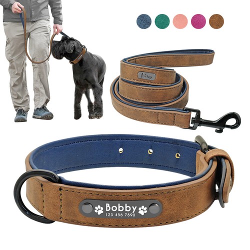 Hundehalsband mit namen gravur - namen,