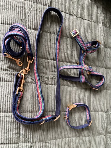 Prunkhund halsband s - prunkhund, gr.