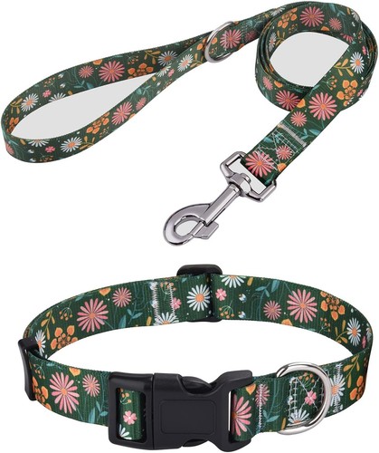 Hundehalsband und leine set - und,