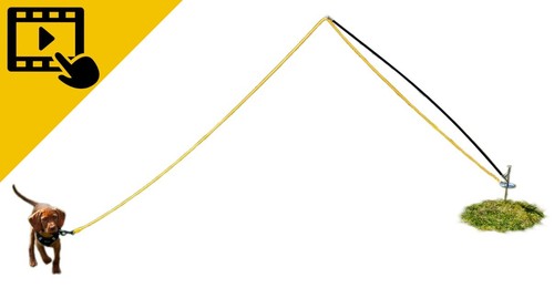 Flexpole treibangel - flexpole,