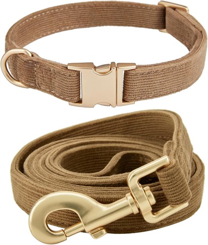 Hundehalsband und leine set - hundehalsband,