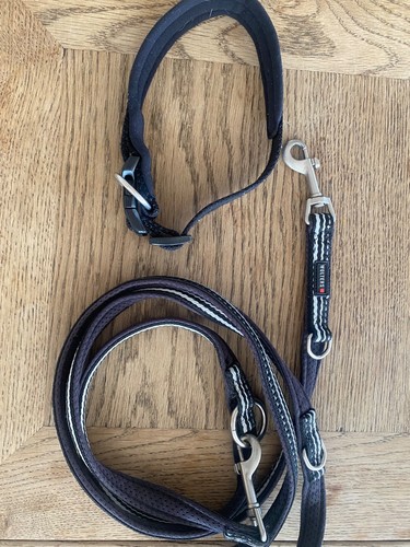 Hundeleine und hundehalsband - hundeleine,
