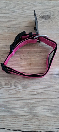 Hundehalsband leine in pink - hundehalsband,