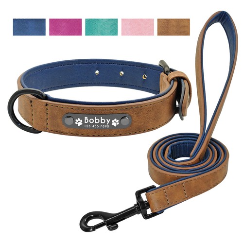 Hundehalsband leine - hundehalsband,