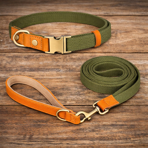 Halsband leine set - halsband,