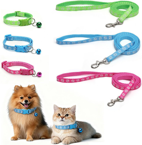 Kleine hunde leine und - leine,