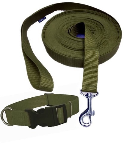 Hundeleine training 15m 5cm - hundeleine, 15m/2,5cm
