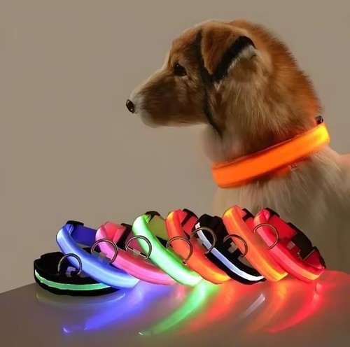 Hundehalsband nylon led ist - led,