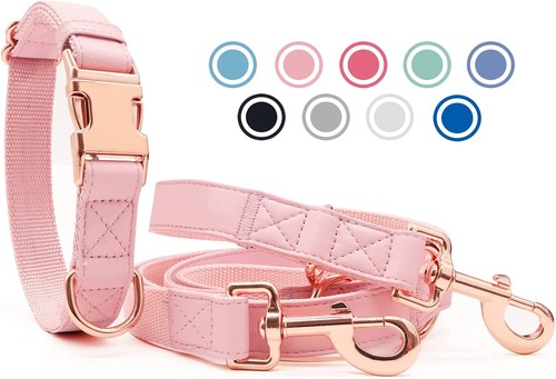 Hundehalsband und leine set - hundehalsband, 2m