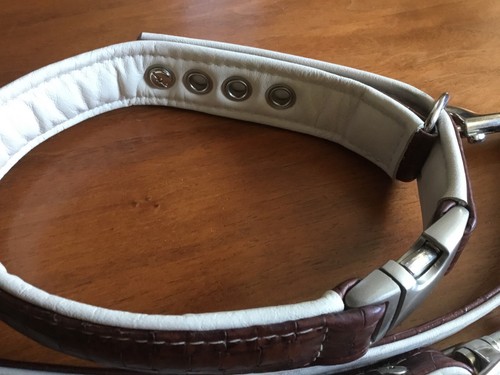 Hochwertiges hundehalsband und - hundehalsband,