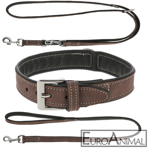 Hunde halsband california - hunde-halsband,