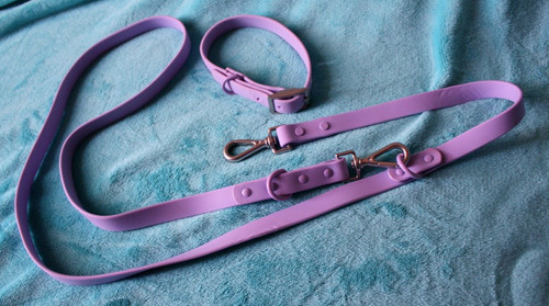 Tolles set hundehalsband - set,