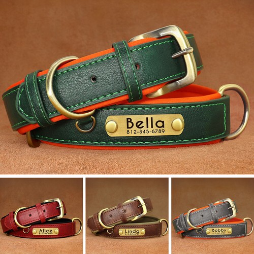 Personalisiert hundehalsband - personalisiert,