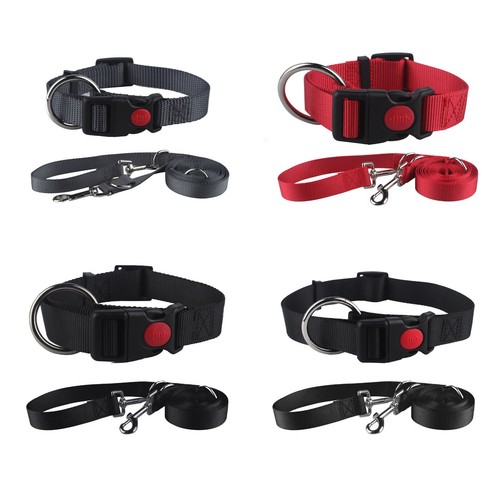 Hundeleine und halsband set - und,