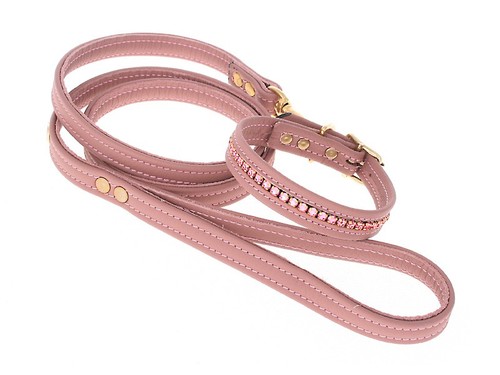 Hundehalsband und hundeleine - hundehalsband,