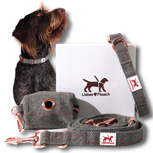 Hundehalsband mit hundeleine - mit,