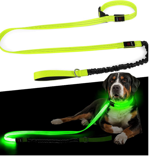 Led hundeleine mit - hundeleine,