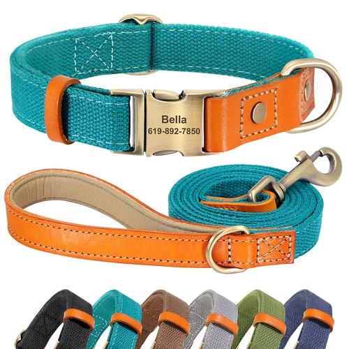 Personalisiertes hundehalsband - personalisiertes,