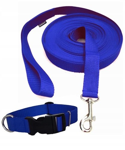 Hund leine trainingsleine - hund,