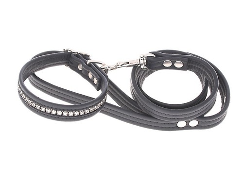 Hundehalsband und hundeleine - hundehalsband,