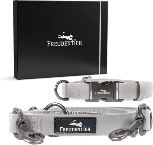 Hundehalsband mit hundeleine - hundehalsband,
