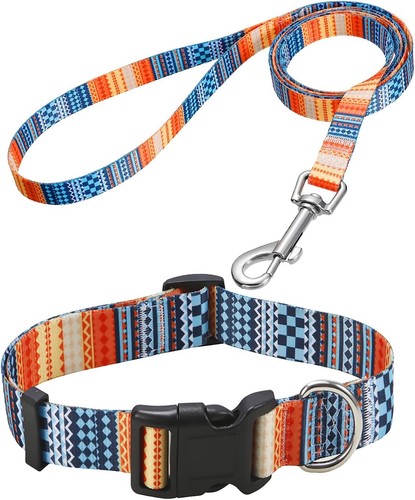 Hundehalsband und leine set - und,