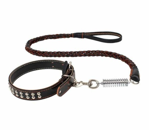 Hundehalsband leine - hundehalsband,