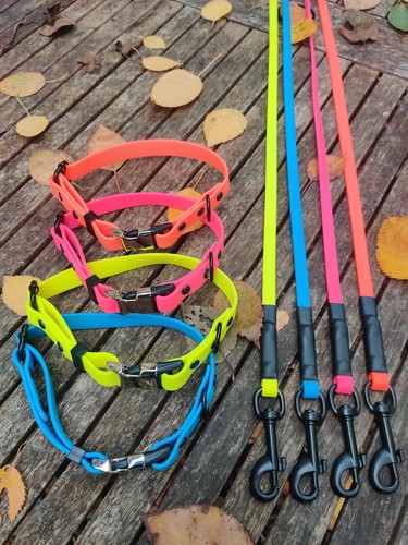 Leichtes hundeleine set 3m - leichtes, 1-3m