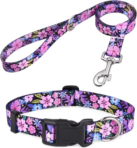 Hundehalsband mit leine - leine, set