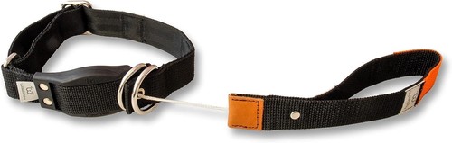 Hundehalsband mit leine - hundehalsband,