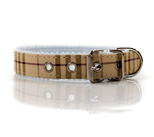 Italy designer - italy,