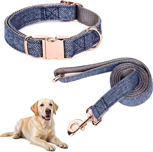Hundehalsband und leine set - und,