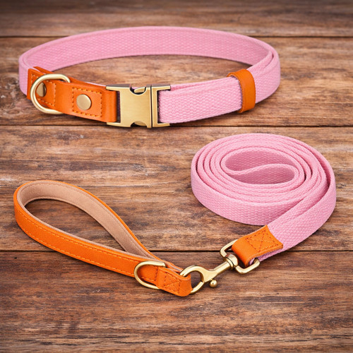 Set aus halsband und - halsband, leine