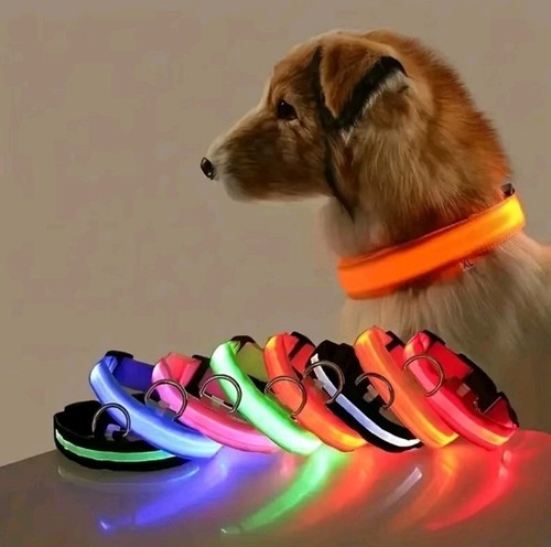Led hundehalsband nylon - hundehalsband,