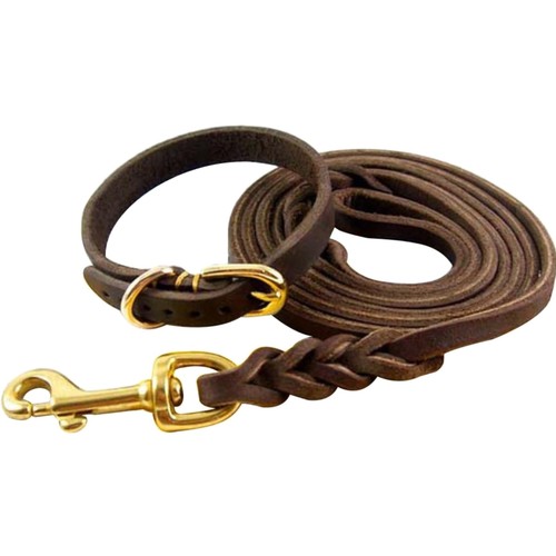 Hundeleine halsband - hundeleine,
