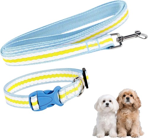 Hundehalsband und leine set - hundehalsband,