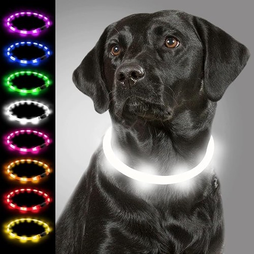 Led leuchthalsband für hunde - led,