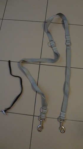 Hundeleine halsband aus - hundeleine,