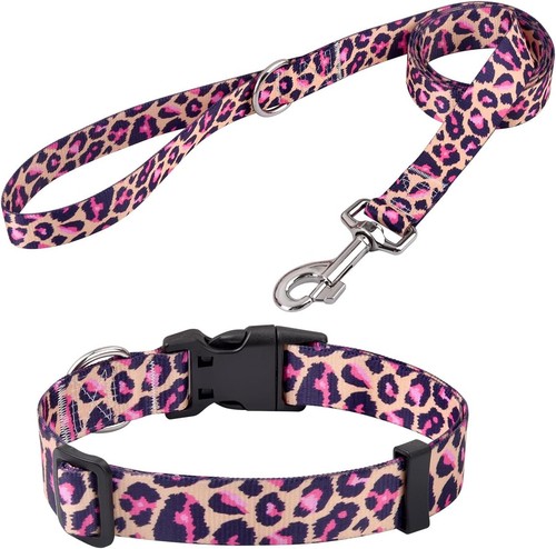 Hundehalsband und leine set - und,