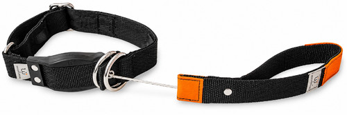 Wowwow hundehalsband mit leine - wowwow,